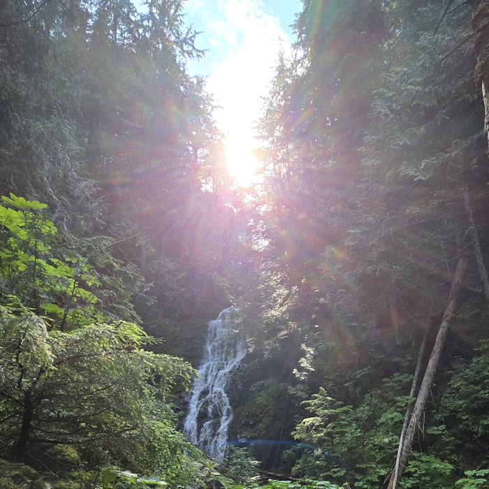 Sunlight breaking through the forest canopy above a waterfall