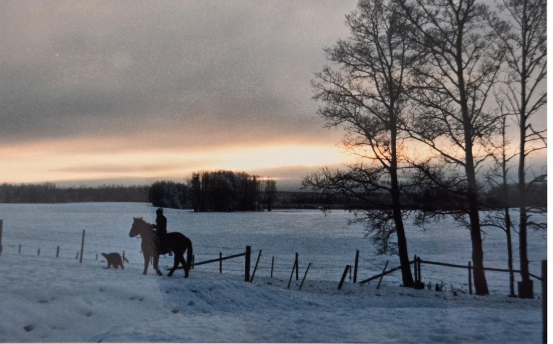 Silhouette of horse and rider at winter sunset on a central BC cattle ranch