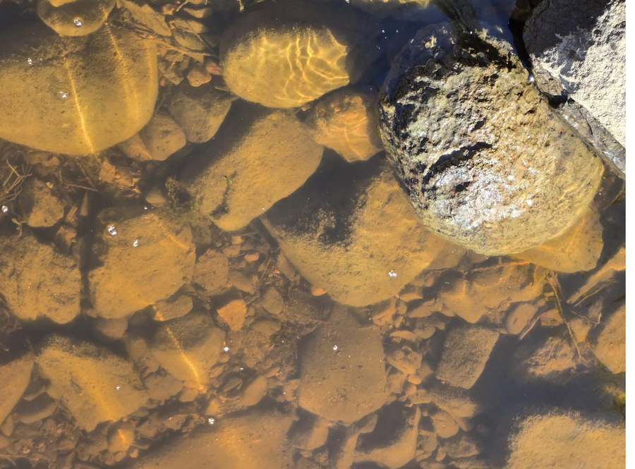 Looking into shallow water over amber stones